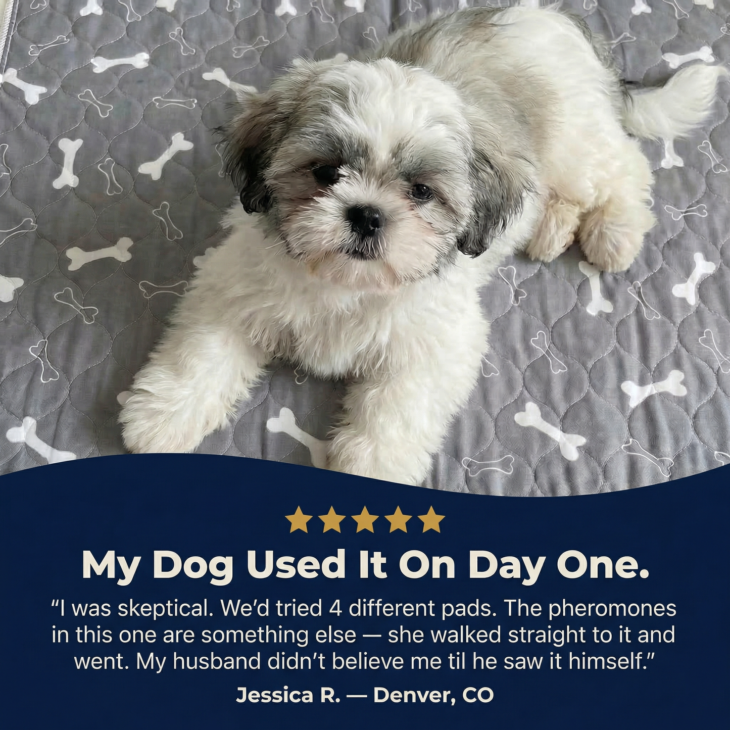 ForeverPad™ - The Last Pee Pad You'll Get
