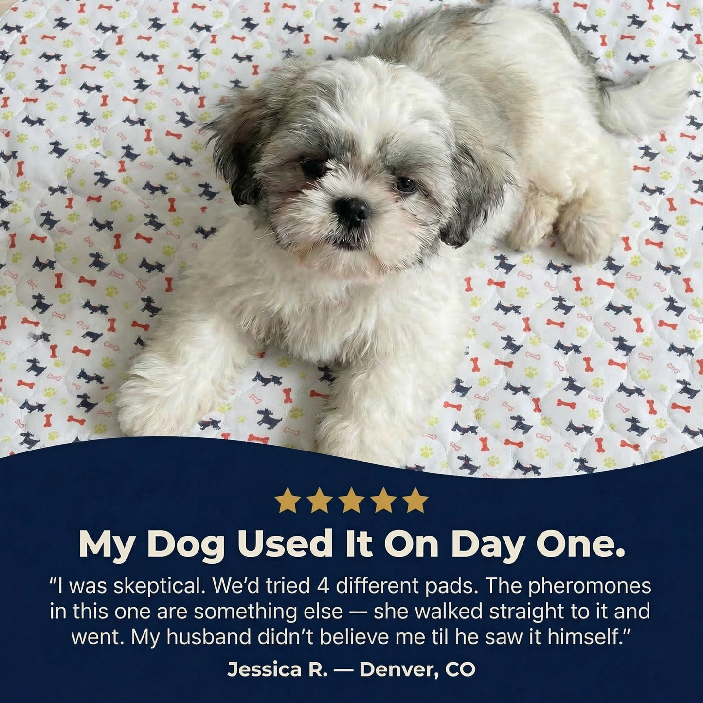 ForeverPad™ - The Last Pee Pad You'll Get